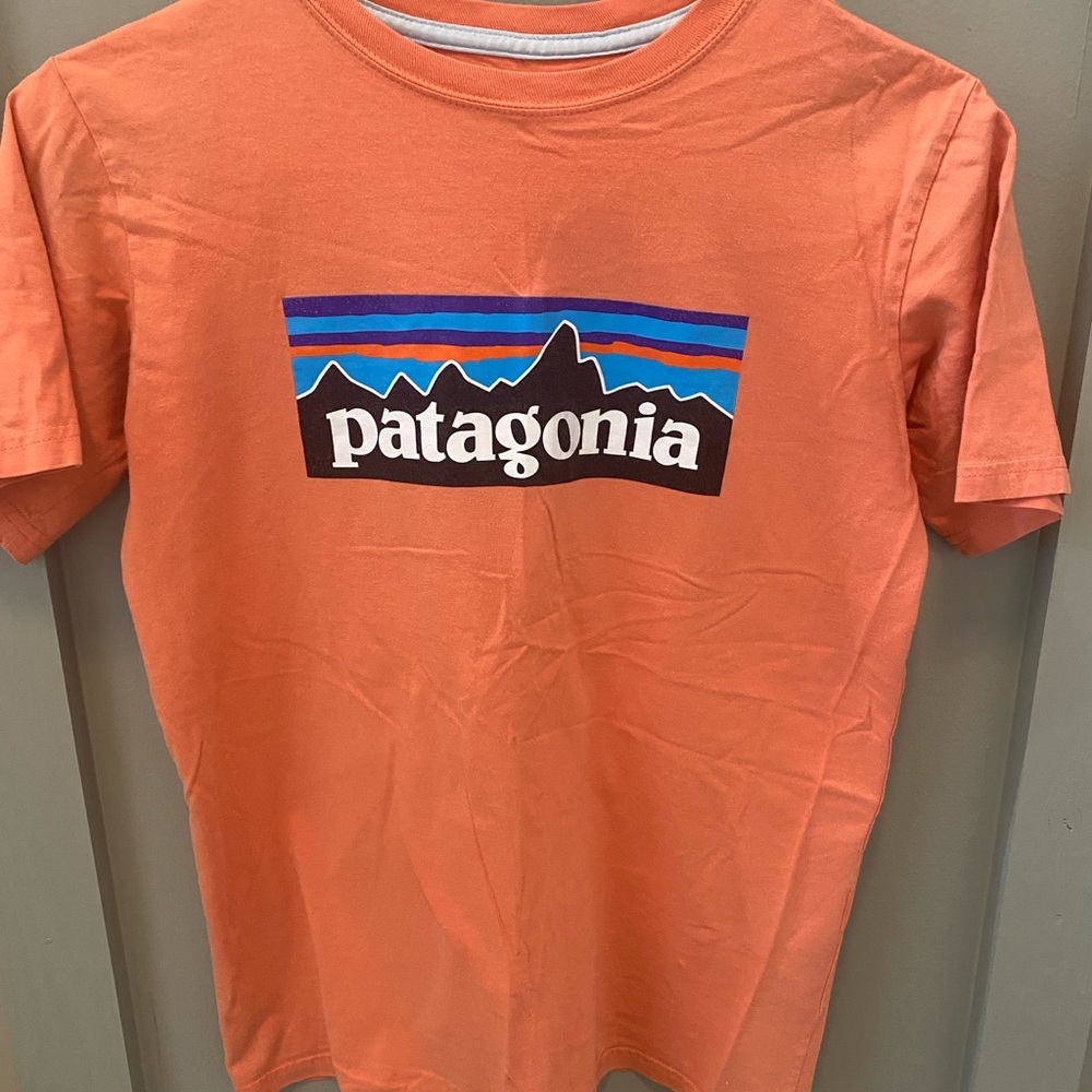 Patagonia Organic Cotton Tee in Vibrant Orange